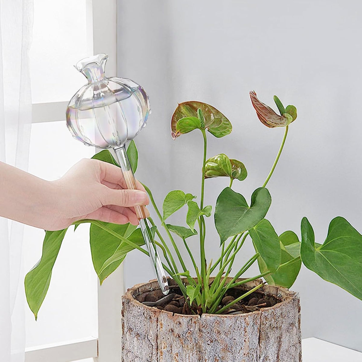 3 PCS Self Plant Watering Globes Insert, Clear Glass Watering Bulbs with Removable Sealing Plug, Plant Waterer for Indoor & Outdoor Plants Flowers (5 oz)