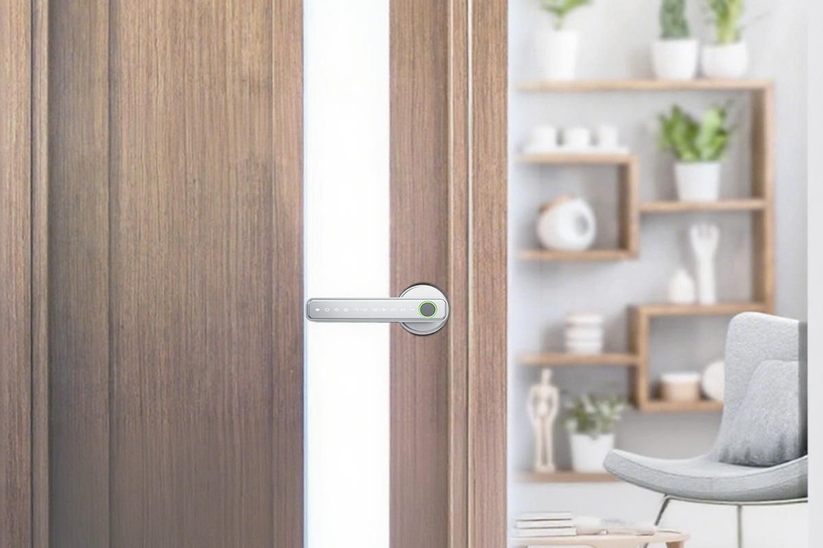 5 in 1 Smart Door Lock Fingerprint Door Knob with IC Cards and Backup Keys - Silver