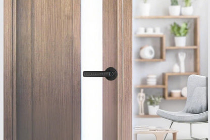 5 in 1 Smart Door Lock Fingerprint Door Knob with IC Cards and Backup Keys - Black