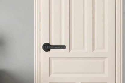 5 in 1 Smart Door Lock Fingerprint Door Knob with IC Cards and Backup Keys - Black