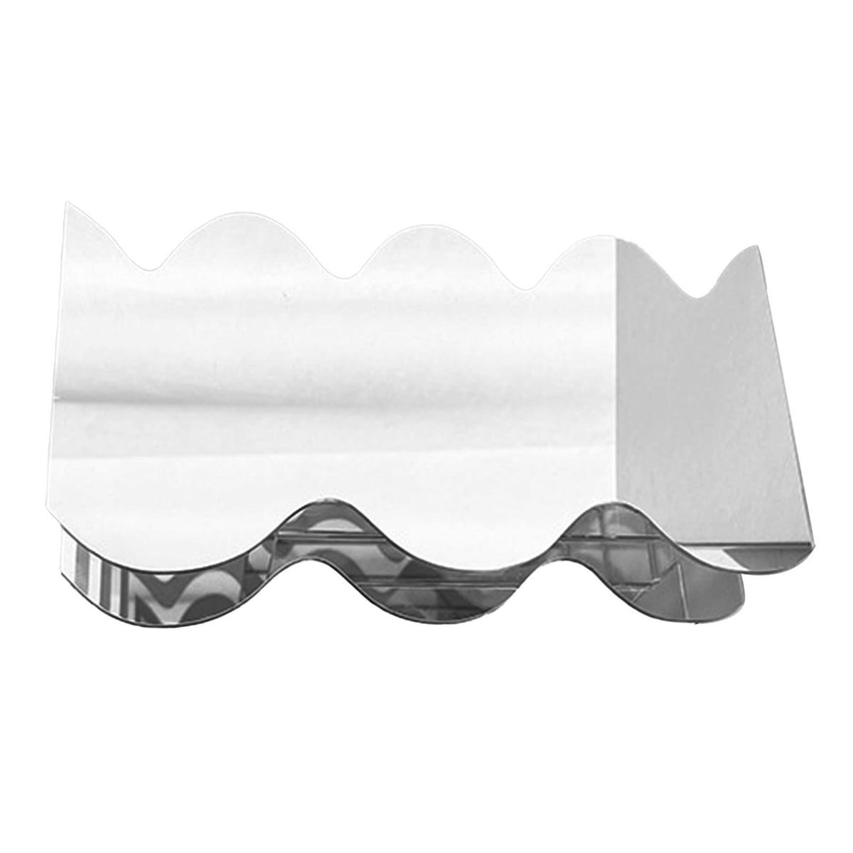 Flower Vase Modern Acrylic Decorative Unique Wavy Shape Vase for Bedroom Living Room Table Mirror