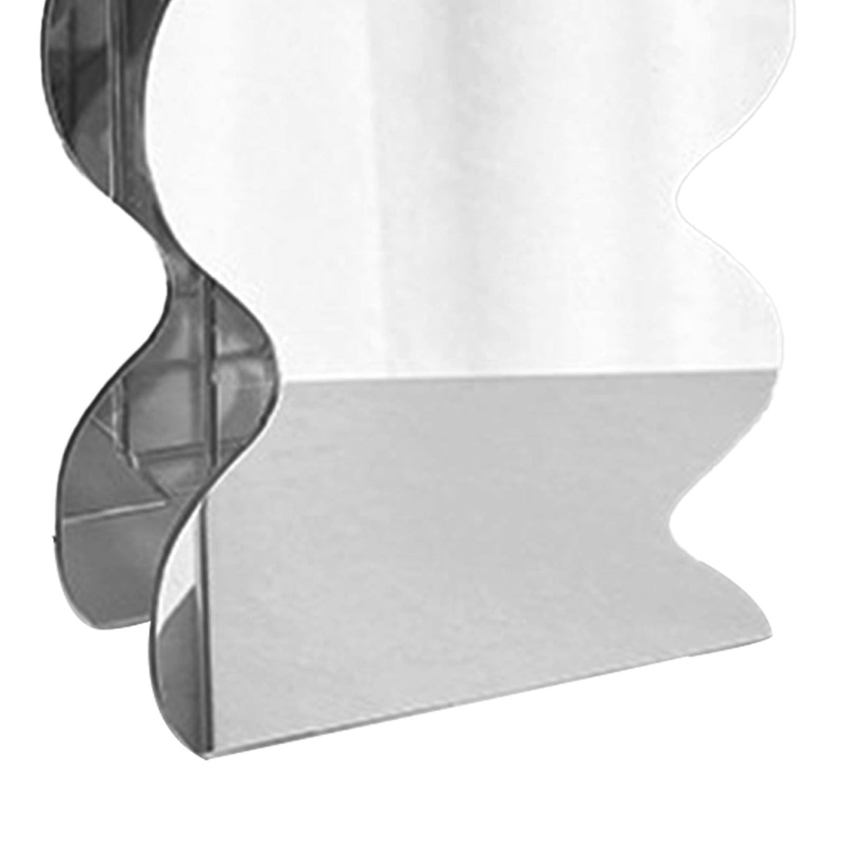 Flower Vase Modern Acrylic Decorative Unique Wavy Shape Vase for Bedroom Living Room Table Mirror