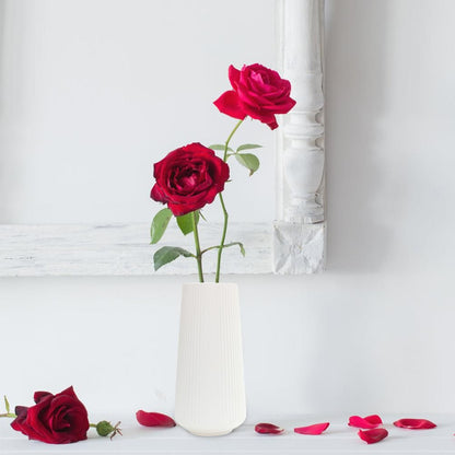 Plastic Flower Vase Modern Decorative Flower Vase for Home Living Room Table Decor