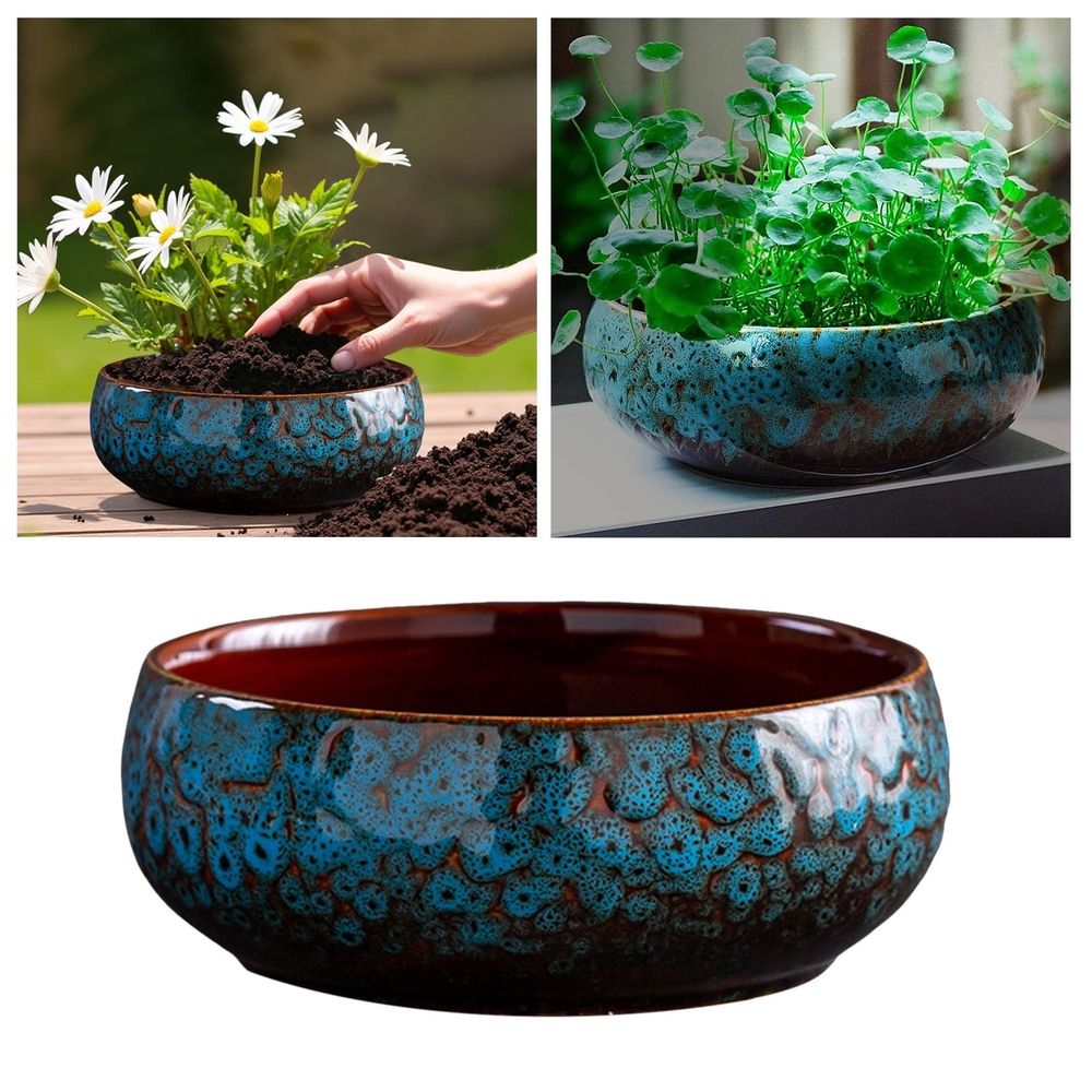 Lotus Bowl Planter â\x80\x93 Glazed Ceramic Water Pot for Indoor Outdoor Use, Shallow Hydroponic Vase for Lotus Seeds, Succulents, Bonsai, Water Lily Arrangement (Blue)