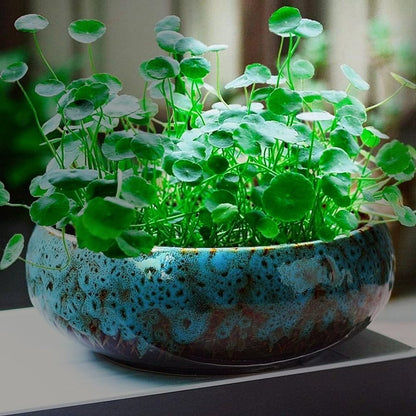Lotus Bowl Planter â\x80\x93 Glazed Ceramic Water Pot for Indoor Outdoor Use, Shallow Hydroponic Vase for Lotus Seeds, Succulents, Bonsai, Water Lily Arrangement (Blue)