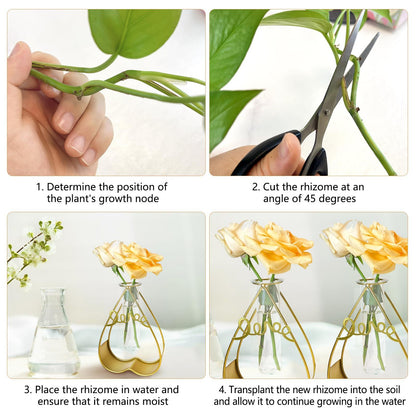 Cute Glass Flower Vase for Party Wedding Decorations,Geometric Decor Vase with Gold Test Tube Vase（Heart-Shaped）