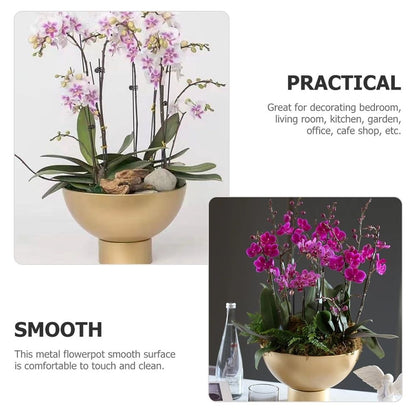 Cactus Planting Pot Flowerpot Iron Golden Planter Modern Style 1Pcs