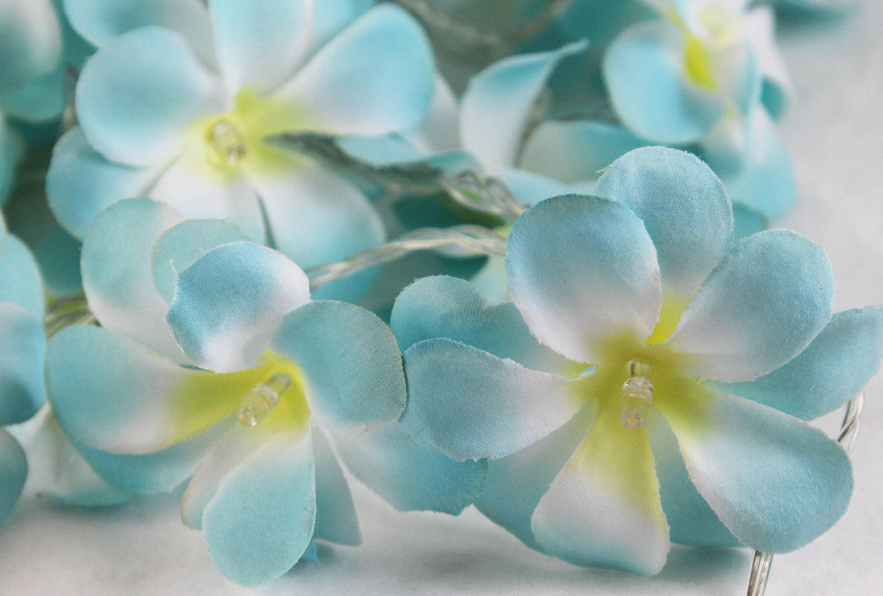 1 Set of 50 LED Tropical Blue Frangipani Flower Battery 5m LONG String Lights Christmas Gift Home Wedding Beach Party Decoration Outdoor Table Centrepiece