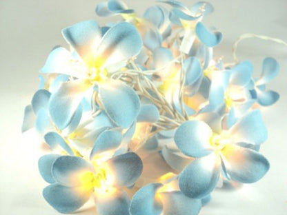 1 Set of 50 LED Tropical Blue Frangipani Flower Battery 5m LONG String Lights Christmas Gift Home Wedding Beach Party Decoration Outdoor Table Centrepiece