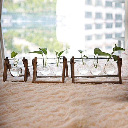 Wood Stand Glass Vase Terrarium Hydroponic Hanging Planter Home Decor - M With 2 Bottles