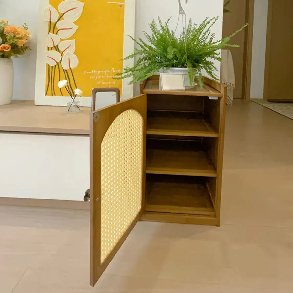 Home Shoe Cabinet with Doors Multi-Layer Dustproof Shoe Storage Entryway Hallway