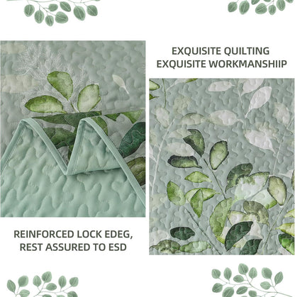 Green Floral Elysian Bedspread Coverlet 3 Piece Set