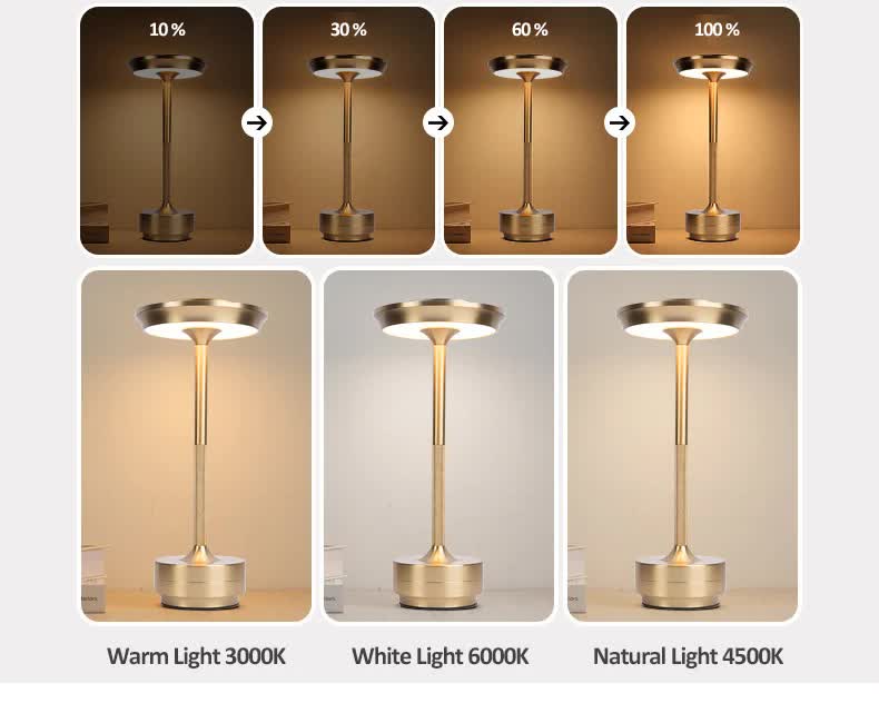 Silver Elegant Aluminum Alloy Rechargeable LED Touch Lamp - 3-Color Dimmable Cordless Table Light