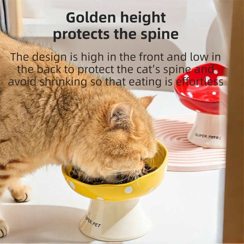Red and Yellow Elevated 15° Tilted Ceramic Cat Bowl - Anti-Chin Acne Glaze Finish, Non-Slip Weighted Base & Neck Protection Pet Feeder