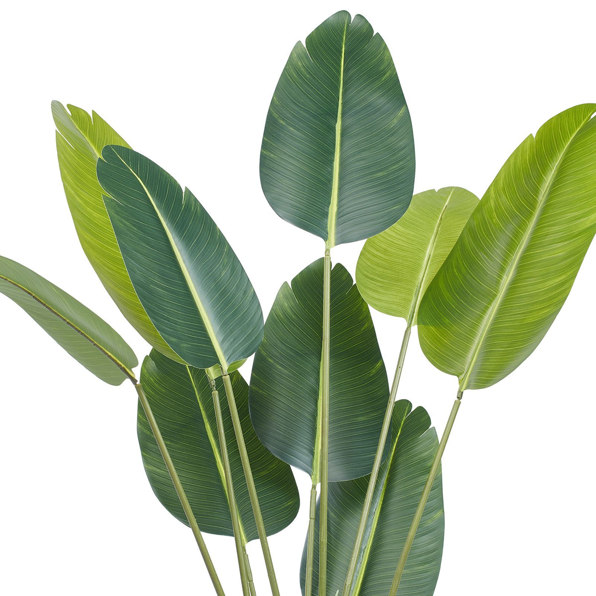 Artificial Birds Of Paradise Tree, 1.5m Tall Faux Plant, PE Material & Anti-Tip Tilt Protection Low-Maintenance Plant, Lifelike Green Fake Tree for Home Office Warehouse Decor Indoor Outdoor