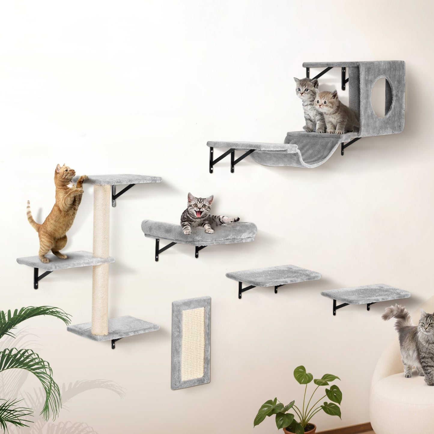 Wall Mounted Cat Shelves, Cat Wall Shelves and Perches with Jumping Boards, Hammock, Sofa, Cat Tree & Cat Grip, Cat Furniture and Shelves up to 40 lbs for Sleeping, Playing, Climbing, Set of 6