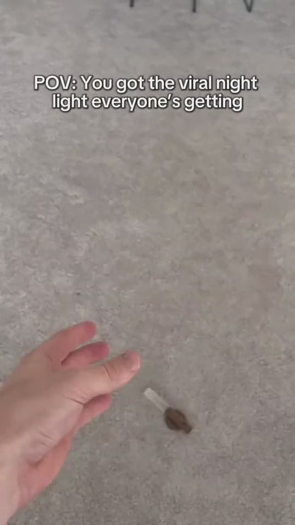 1.mp4